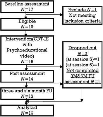 Hybrid Cognitive Behavioral Therapy With Interoceptive Exposure for Irritable Bowel Syndrome: A Feasibility Study